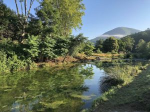 Rivière pêche camping Rennes-les-Bains