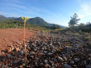 Terres Rouges Rennes-les-Bains camping
