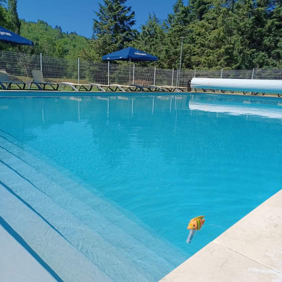 piscine camping rennes les bains