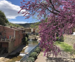 Rivière village Rennes-les-Bains Rivière village Rennes-les-Bains camping